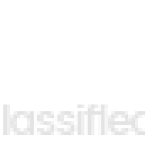 flip-logo
